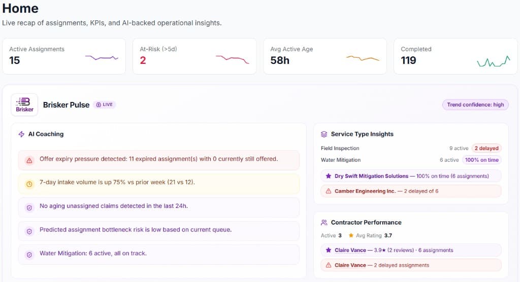 Client dashboard with KPI cards and Brisker Pulse insights